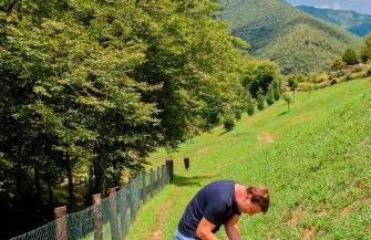 La Fontanina - Photo 42