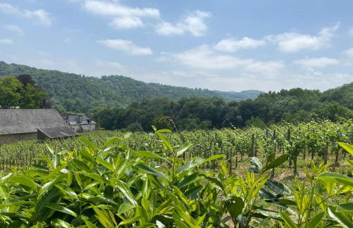 Séjour sur les coteaux - Foto 30