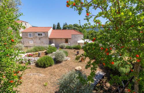 Olive Garden - Foto 30