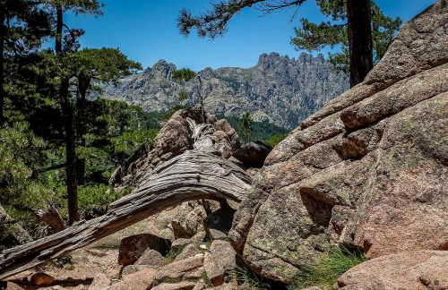 Villa Golfe Favone Corsica 10P Pool Sea View - Foto 20