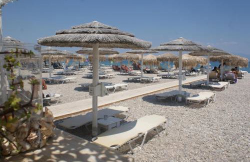 Lemon Tree House - Photo 54