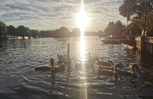 River Cabin With Mooring - From 250 Per Night - Foto 13