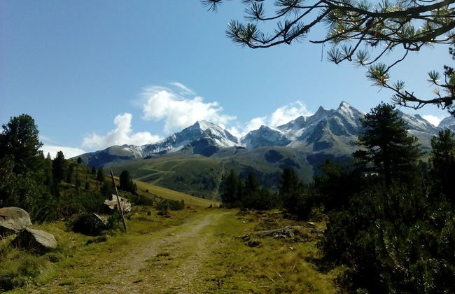 Apartment Fernerkogel - Foto 75