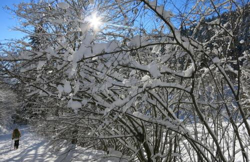 Holiday apartment with 1 bedroom - Foto 33