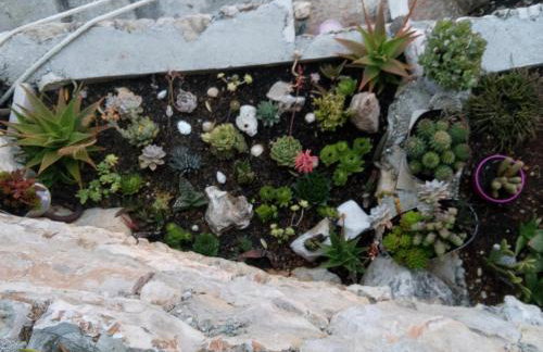 Sunset Apartments - Foto 60