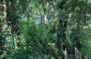 The Annexe at Fishponds - Photo 38