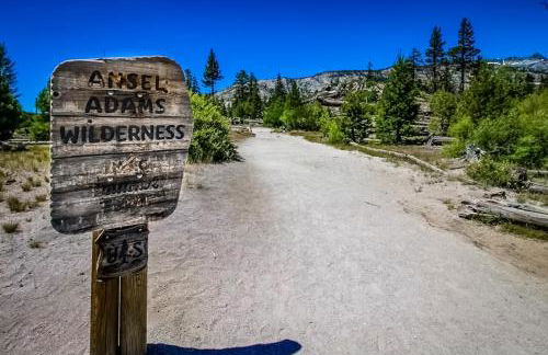 Mammoth Green - 207 - Foto 45