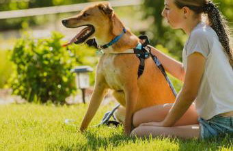 Zen Zion accommodates large groups of up to 30 - Foto 16