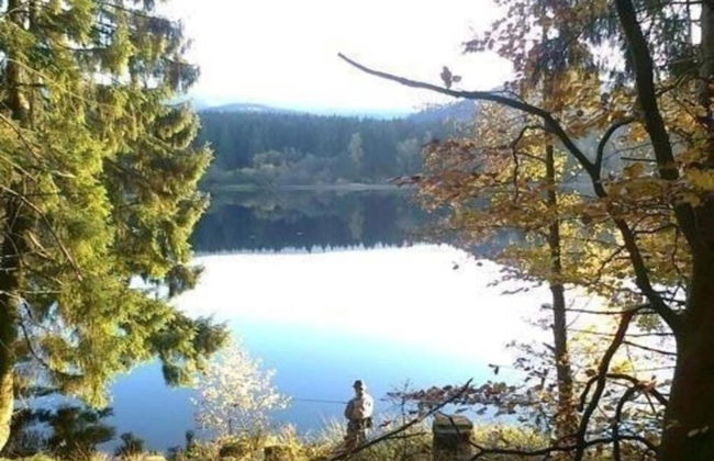 Charmante Harzer Doppelhaushalfte - Foto 31