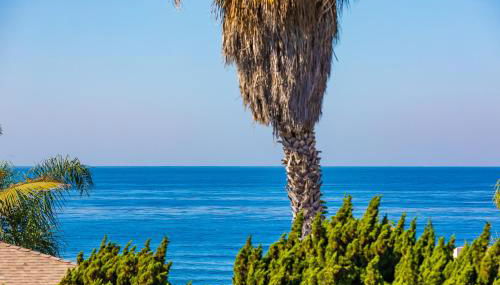 Sea & Sand Ocean Views - Photo 5