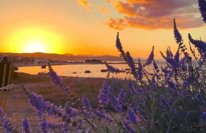 Domu Manca - Foto 23