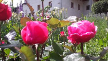 Schrotthof - Foto 4, Garden