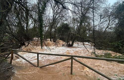 Casa Rural Nacimiento del Hueznar - Tomillo 17 - Foto 38