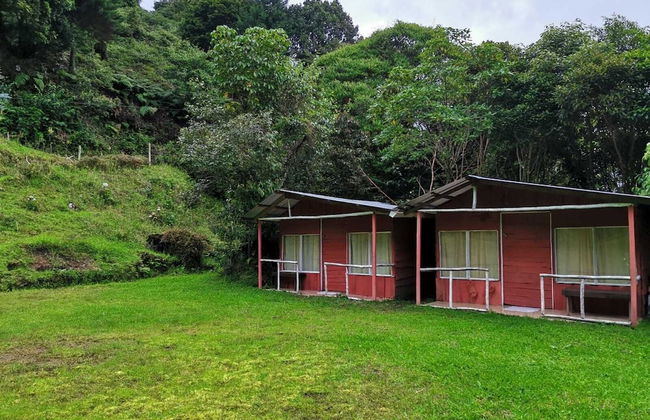 Millar de Aves - Foto 10