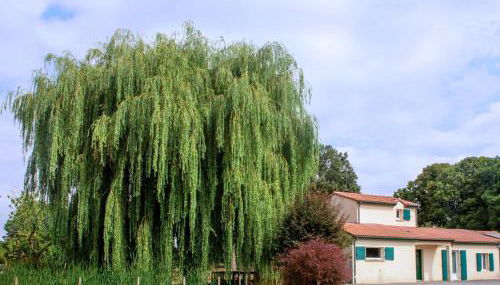Grand Gîte Le Saule en Scie - 3 étoiles - Spa chauffé, 12 à 14 pers, jardin clos, 30 mn PuyduFou - Foto 2, Garden, Garden view