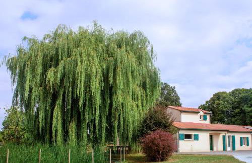 Grand Gîte Le Saule en Scie - 3 étoiles - Spa chauffé, 12 à 14 pers, jardin clos, 30 mn PuyduFou - Foto 2