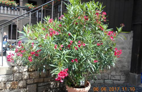 Vermiete sehr schönes Apartment in Dankerode im Harz - Foto 6