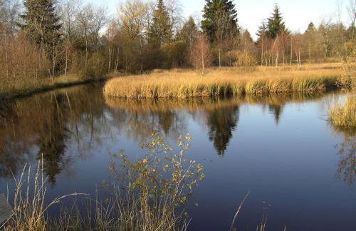 Eifellounge - Foto 63