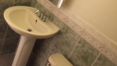 An English Gem near Union Station - Foto 5