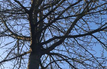Ferienhaus Holz-Blockhaus Heimbach Blens Rureifel very cosy wooden Blockhome - Foto 61
