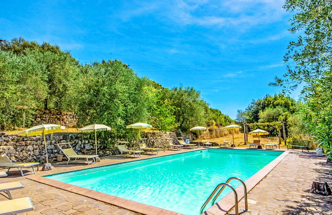 Il Ligustro - Foto 2