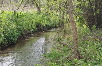 Ferienwohnung Lebensfreude Höxter im Weserbergland - Foto 50