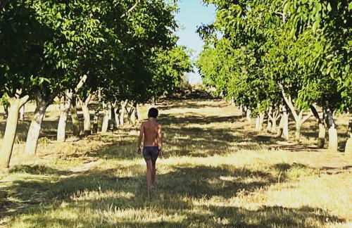 Casa de Campo, Quinta do Funchal - Foto 25