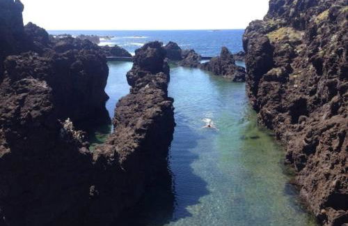 Casa do Bisbis - Foto 16