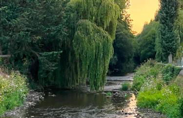 La Maison Gavraise - Foto 16