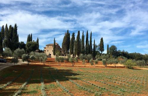 La Tenuta di Castelvecchio - Foto 16