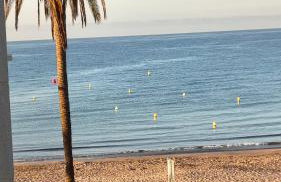 Cunit Beach - Photo 1