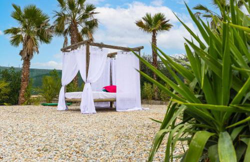 Fidalsa Divine Hiding - Foto 24