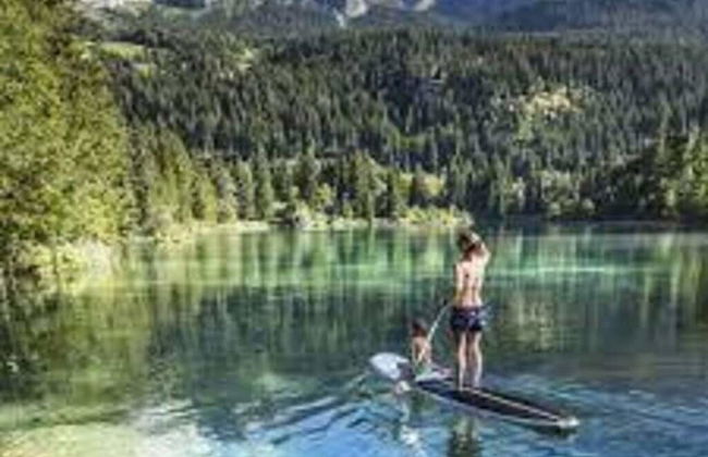 Renovated 3 Rooms Apartment in Ruschein Near Laax - Foto 19