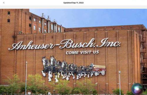 A huge Sprawling House on a large lot -15 minutes to St Louis - Foto 28