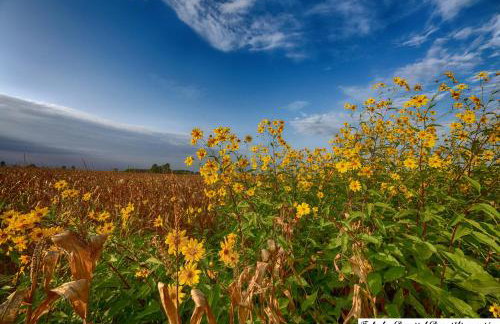 Studio apartman CENTAR - Foto 31