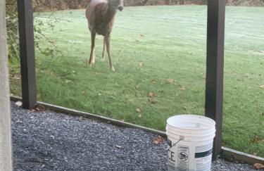 Secluded 4 bedroom with hot tub minutes from campus - Foto 46