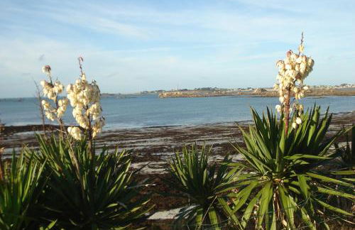 Ti Bihan - Meublé proche plages - Foto 22