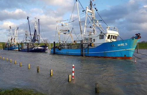 Ferienhaus Juna am Nordseedeich - Foto 15