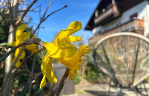 Wohnen & Bergblick - Foto 5