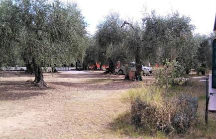 VILLA DIANO CASTELLO - Foto 10