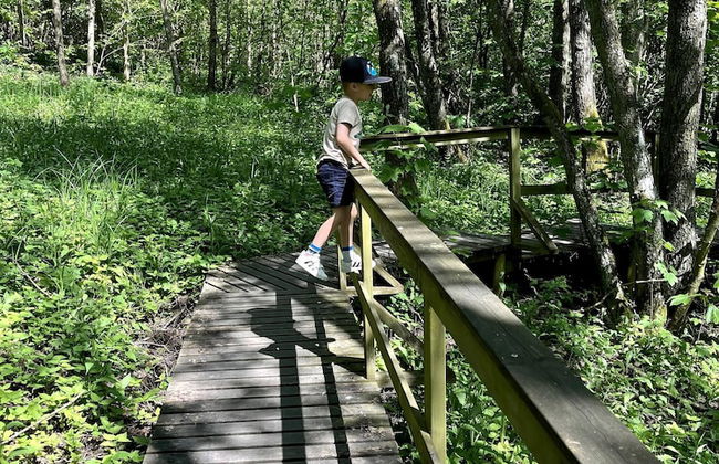 Guest Apartment Österlen Near Tosselilla & Golf Course - Foto 75