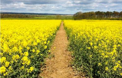 Highthel Holiday Home by the Northumberland Coast - Foto 43