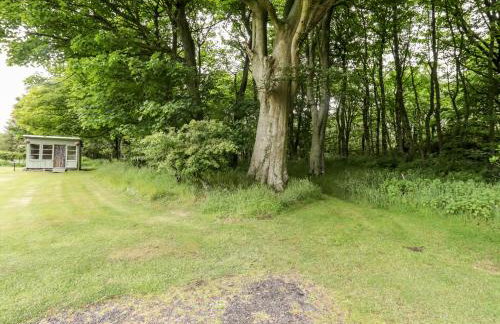 Rose Cottage - Photo 23