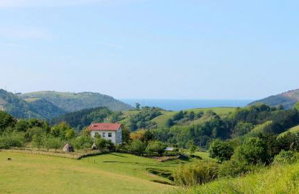 Olaskoaga Goikoa - Foto 3