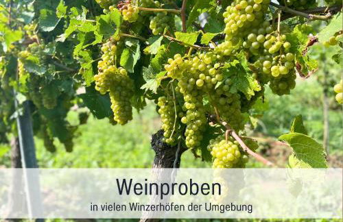 Ferienwohnungen Auszeit Langmatt - Foto 42