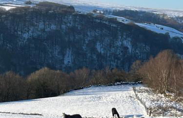 Weather Hill Cottage, Hebden Bridge - Foto 45