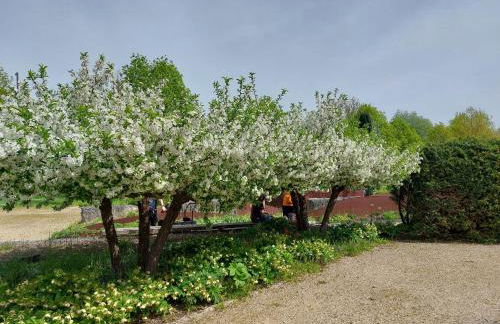 Ferienwohnung Josi , 64 qm 2 Zimmer - Foto 33