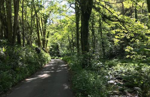 Characterful, Cosy Dartmoor Cottage - Foto 38