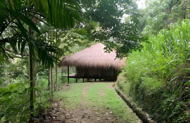 Guava House by The Serendipity Collection - Photo 12