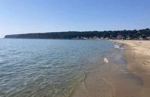 La franqui , nouveau , Duplex pour 2 ou 3 ,piscine, mer ,soleil , station familiale - Foto 30